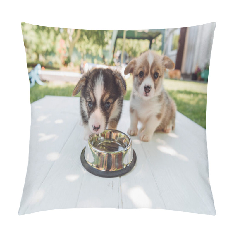 Personality  Cute Puppies Drinking Water From Silver Pet Bowl On Wooden Construction In Garden Pillow Covers