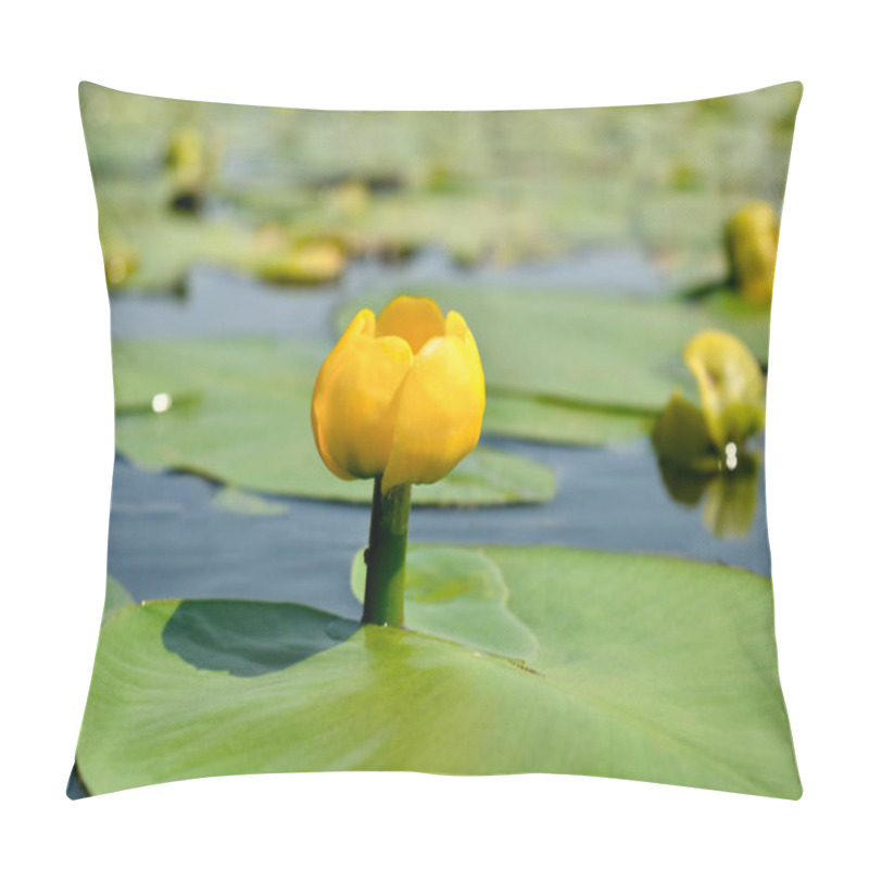 Personality  Yellow Water Lily Spatter-dock Among Green Leaves Pillow Covers