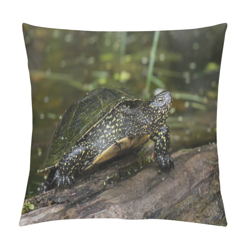 Personality  Closeup Of A European Pond Turtle Sunbathing On A Piece Of Wood In A Pond Pillow Covers