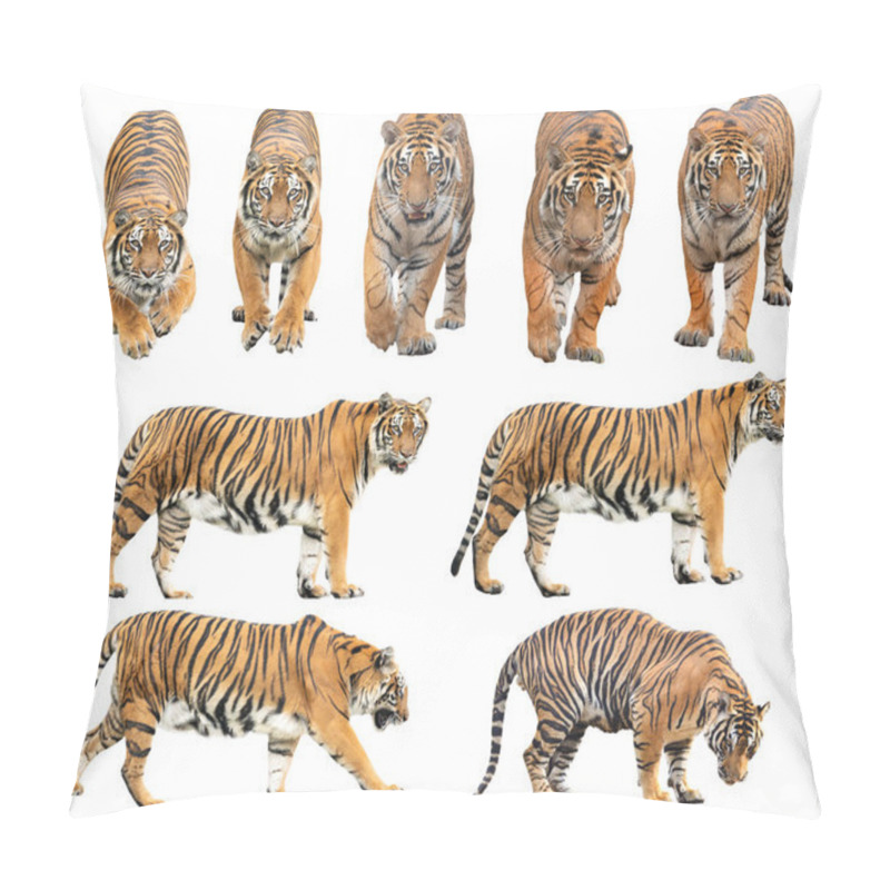 Personality  Bengal Tiger Isolated On White Background Pillow Covers