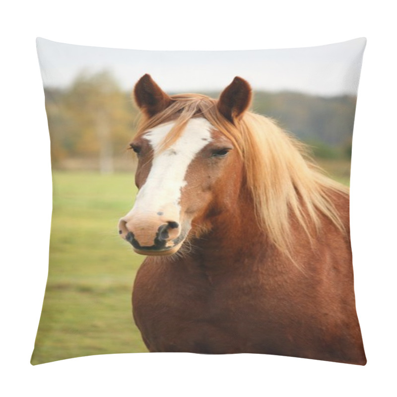 Personality  Palomino Percheron Portrait In Autumn Pillow Covers