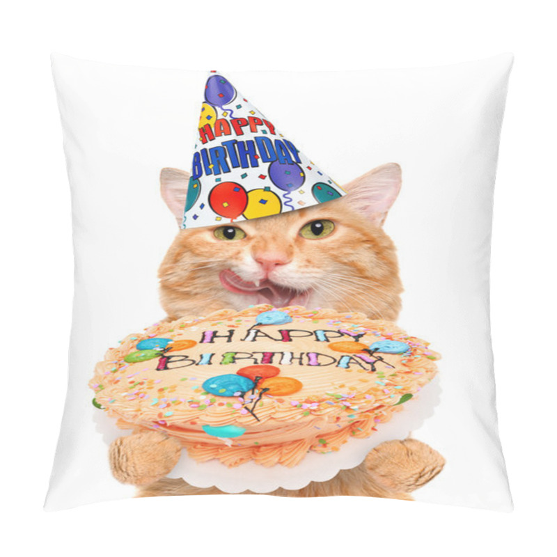 Personality  Birthday Cat . Pillow Covers