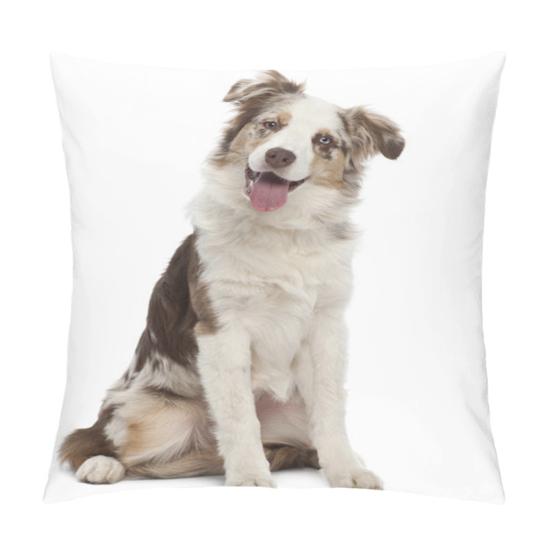 Personality  Australian Shepherd Puppy, 6 Months Old, Sitting Against White Background Pillow Covers