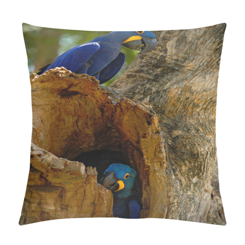 Personality  Parrots In Tree Nest Hole  Pillow Covers