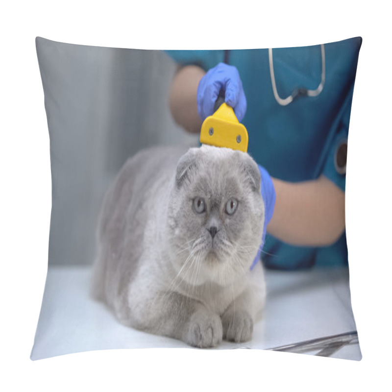 Personality  Veterinarian Cleaning Cat Fur With Special Deshedding Tool, Care During Moulting Pillow Covers