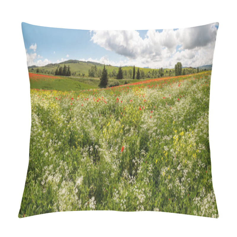 Personality  Panoramic View On A Wildflower Field In The Rolling Hills Of Tuscany Near Pienza Italy Pillow Covers