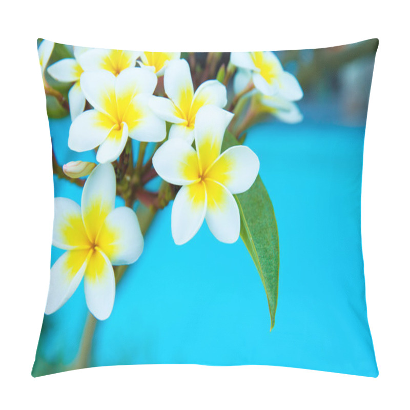 Personality  Frangipani Flowers  On  Tree Pillow Covers