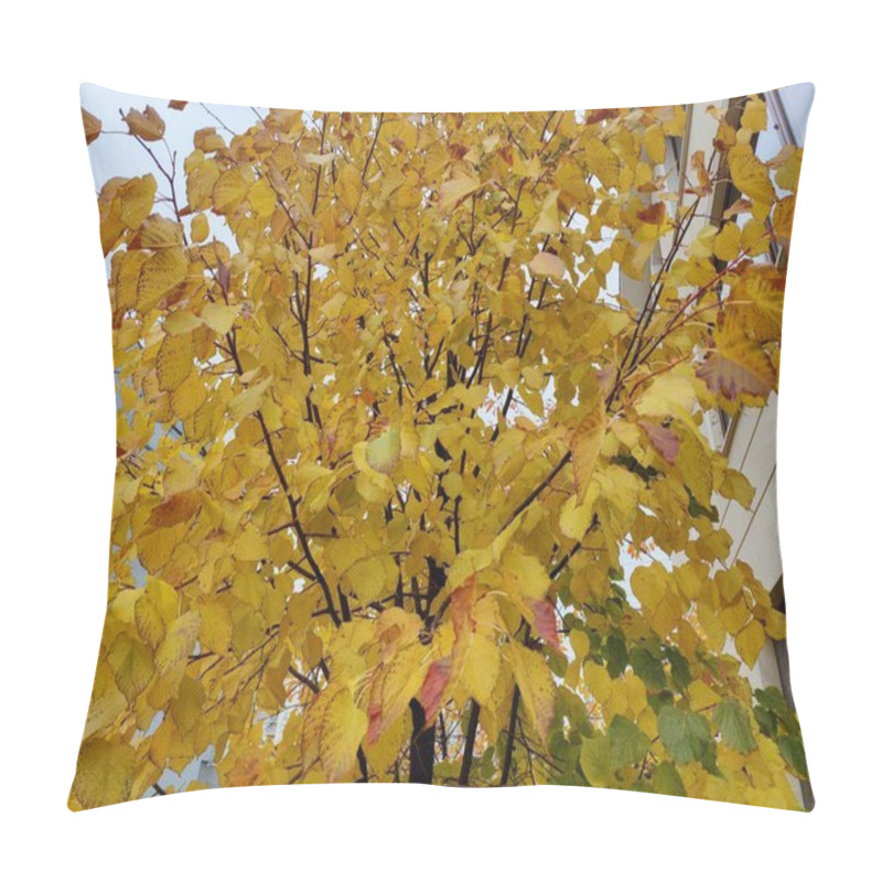 Personality  Golden Autumn Leaves With Dark Speckles, Representing The Passage Of Time And Nature's Imperfections, As A Metaphor For Beauty In Flaws And Seasonal Transformation Amidst The Warm Glow Of Fall Pillow Covers