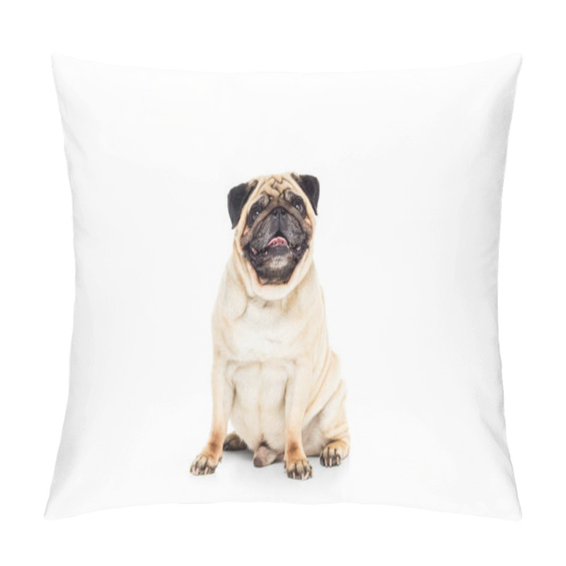 Personality  Cute Pug Dog Pillow Covers