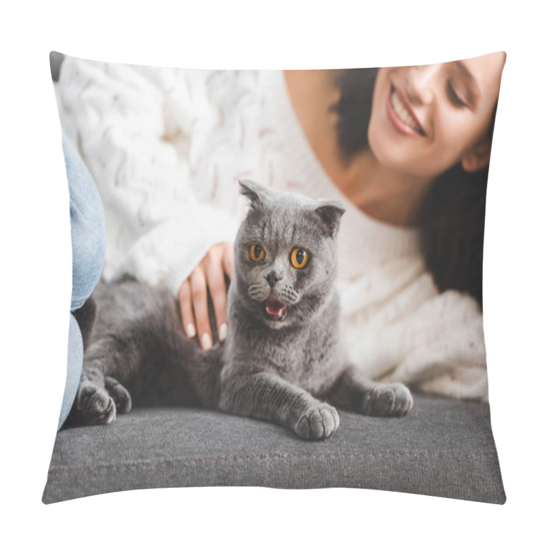 Personality  Selective Focus Of Beautiful Girl Lying On Sofa With Scottish Fold Cat   Pillow Covers