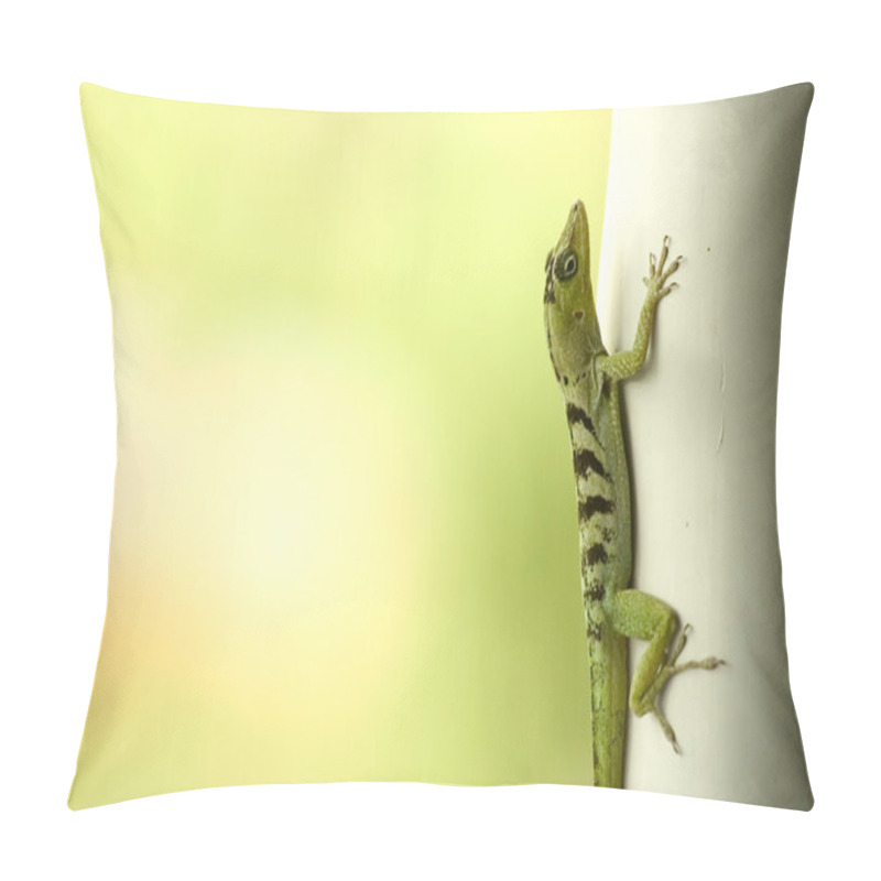 Personality  Green Lizard Pillow Covers