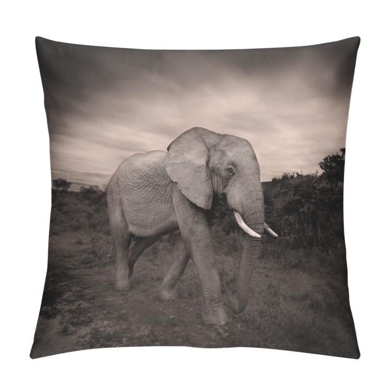 Personality  Big African Elephant Walking In Dry Savanna  Pillow Covers