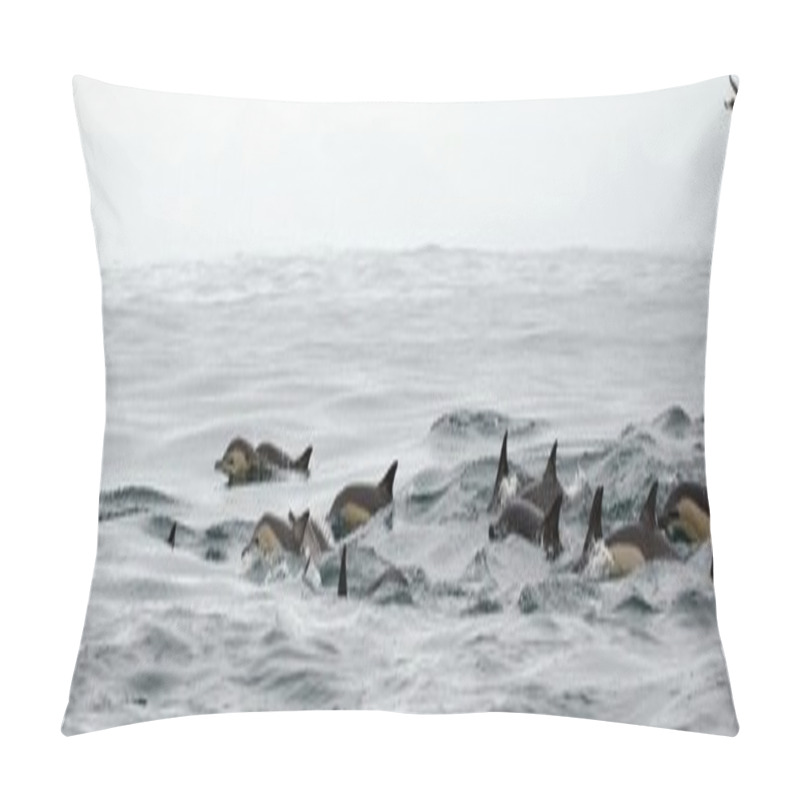 Personality  Dolphins, Swimming In The Ocean Pillow Covers