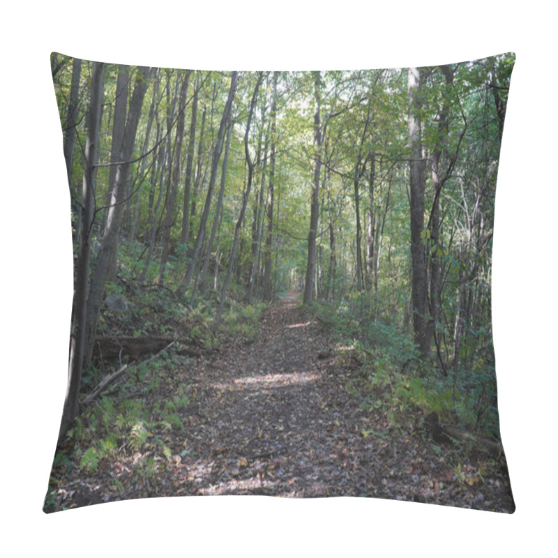 Personality  Beautiful View Of The Park Trail Pillow Covers