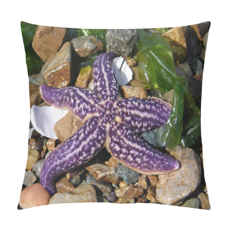 Personality  Starfish On The Beach. Pillow Covers