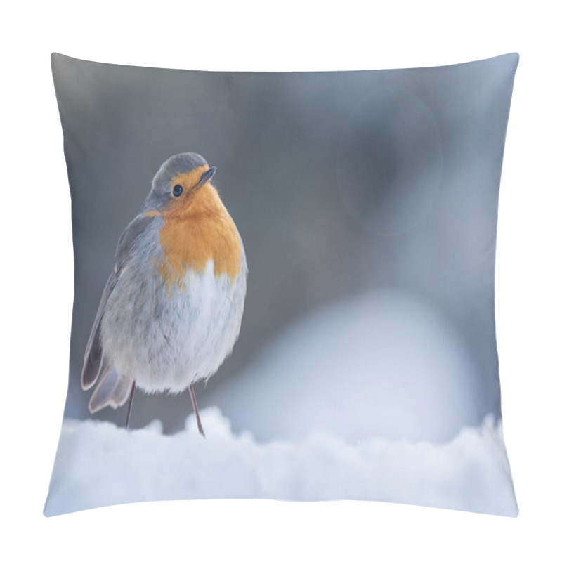 Personality  Robin On Snow Blue Ambiant Light Pillow Covers