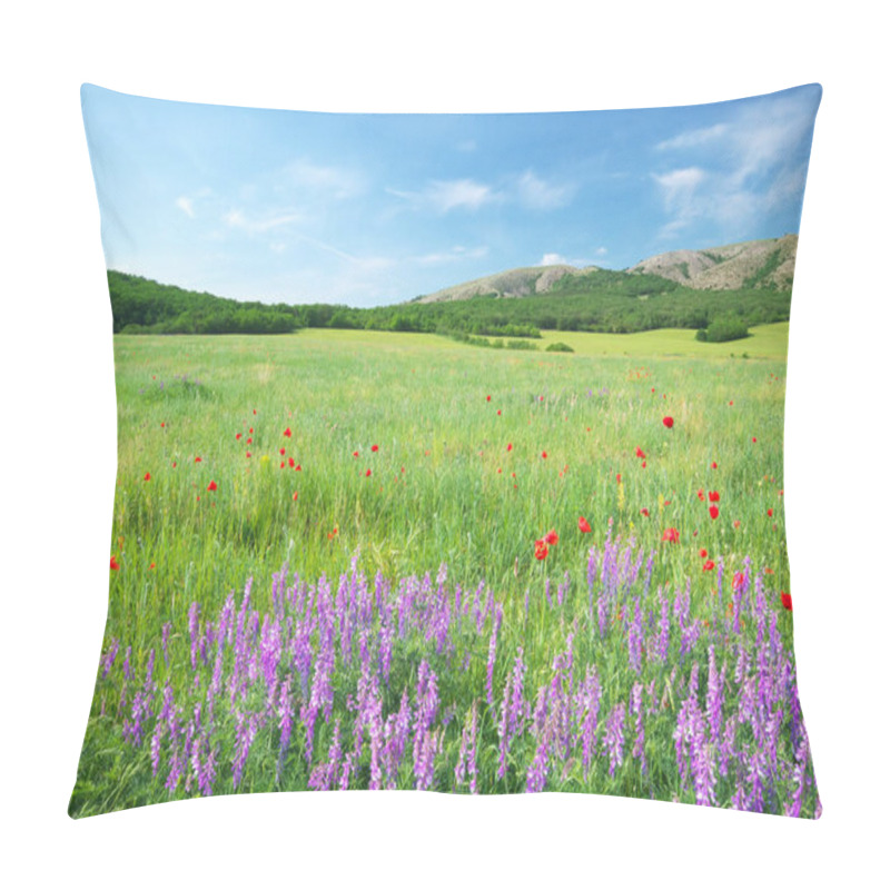 Personality  Green Meadow In Mountain.  Pillow Covers