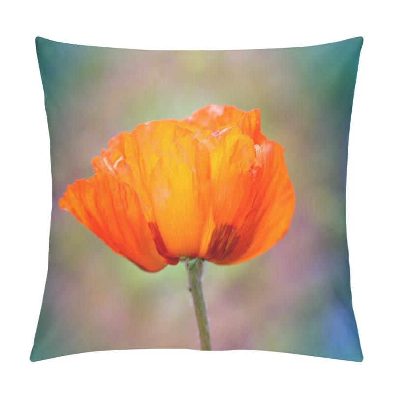 Personality  Beautiful Large Red Poppy   Pillow Covers