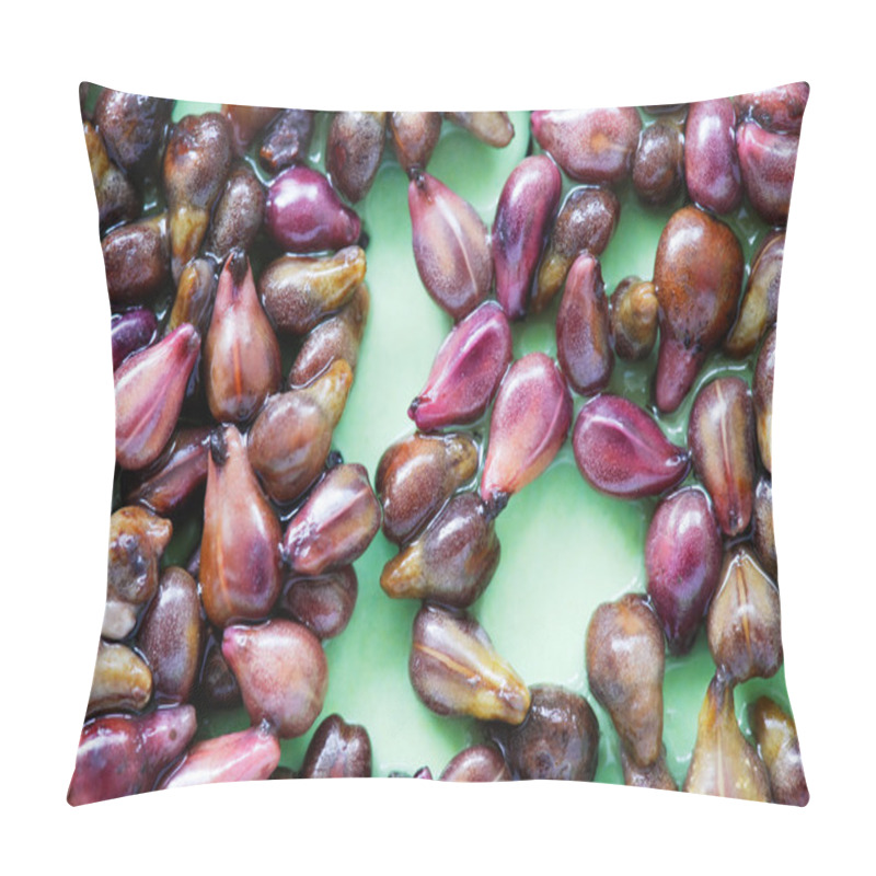 Personality  Grapes Pips Pillow Covers