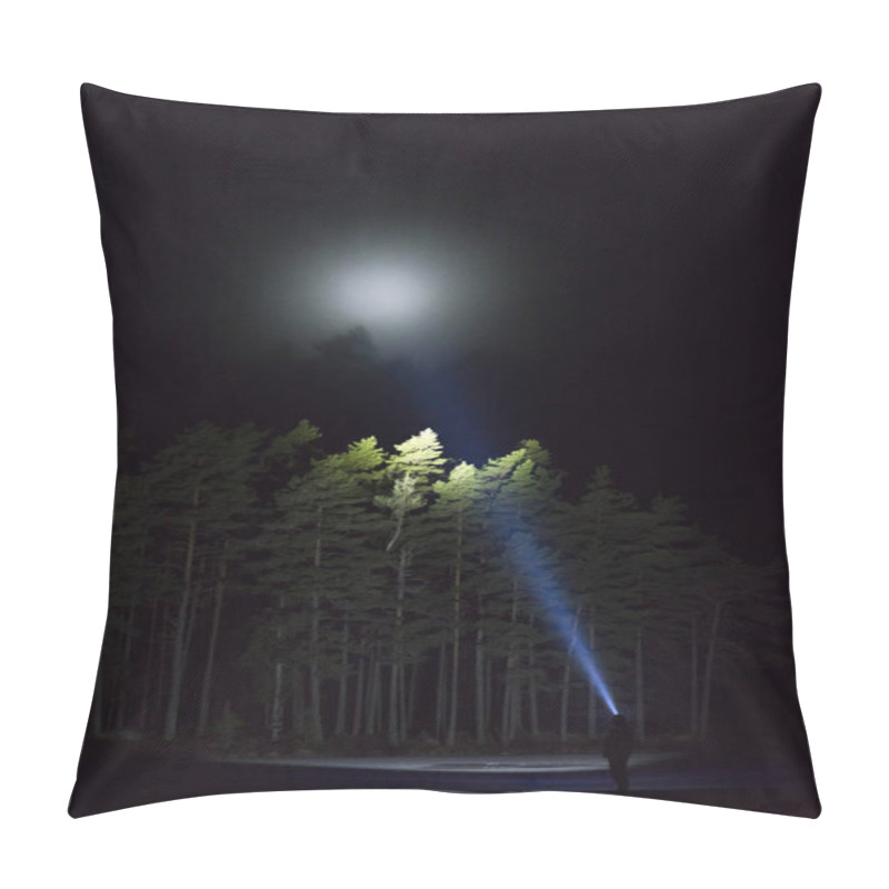 Personality  Man Standing Outdoors At Night In Tree Alley Shining With Flashlight. Beautiful Dark Snowy Winter Night. Pillow Covers