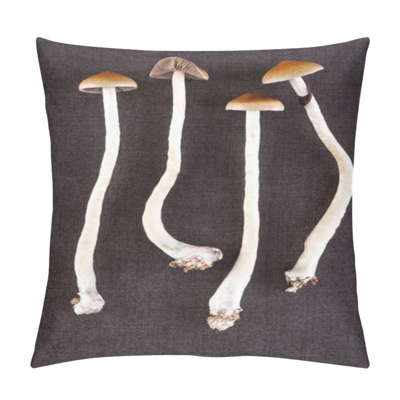 Personality  Fresh Psilocybin Mushrooms. Pillow Covers