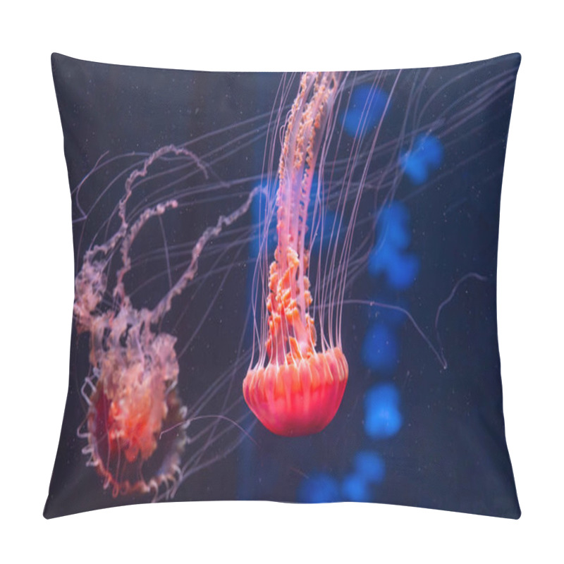 Personality  Beautiful Jellyfish On A Dark Background Pillow Covers