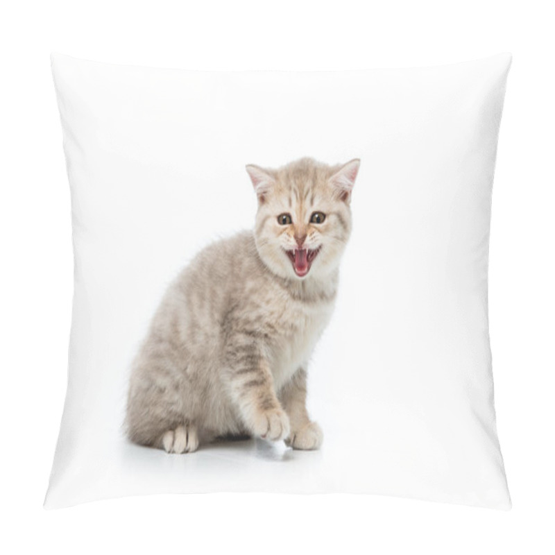 Personality  Adorable Fluffy Kitten Meowing And Looking At Camera Isolated On White  Pillow Covers