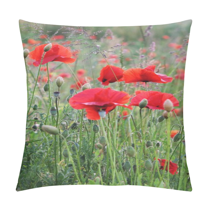 Personality  Summer Field With Red Poppies Pillow Covers