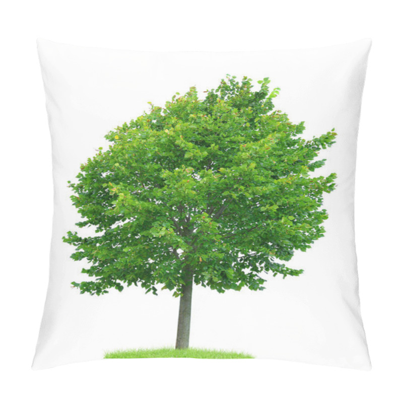 Personality  Linden Tree Isolated  Pillow Covers