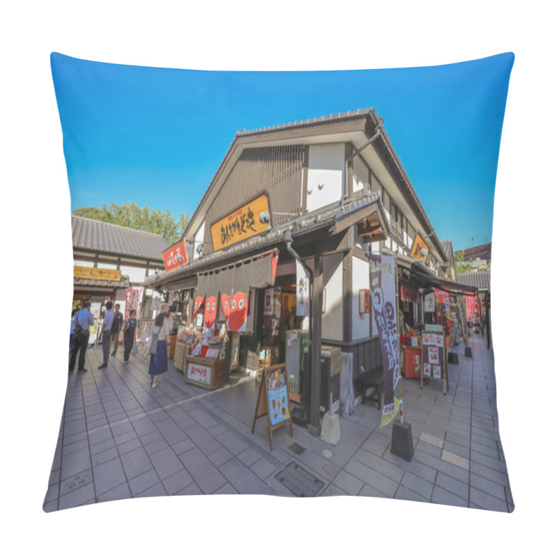 Personality  May 17 2024 Sakura No Baba Josaien, Preserving The Spirit Of Historic Saga Pillow Covers