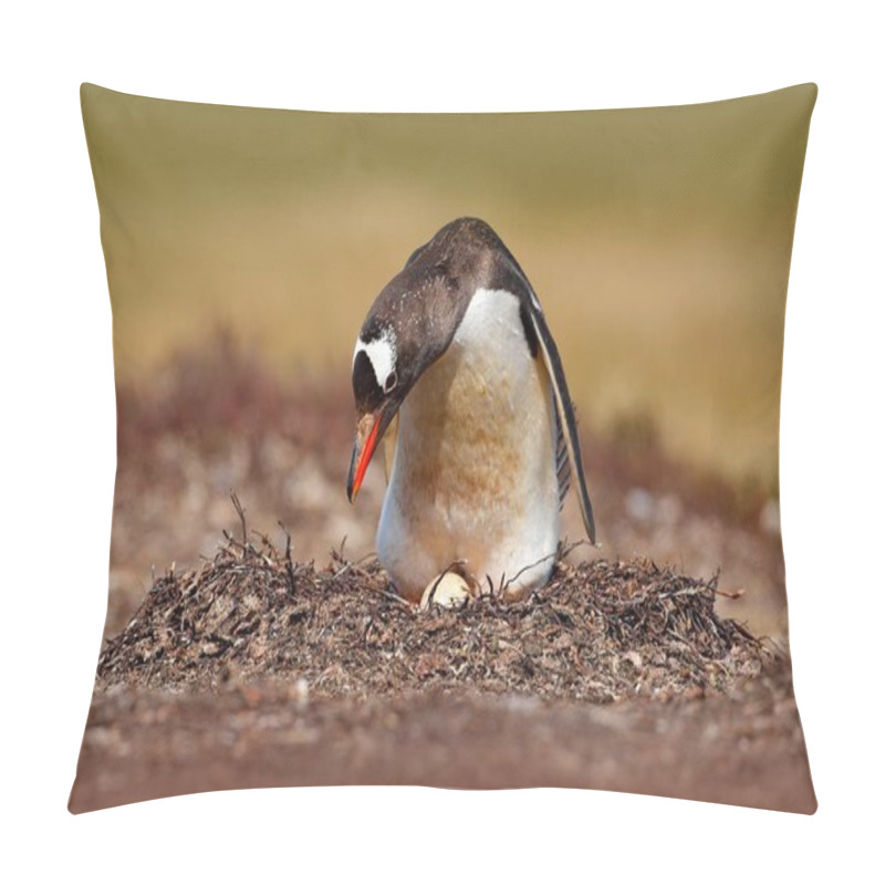 Personality  Nesting Penguin On Meadow Pillow Covers