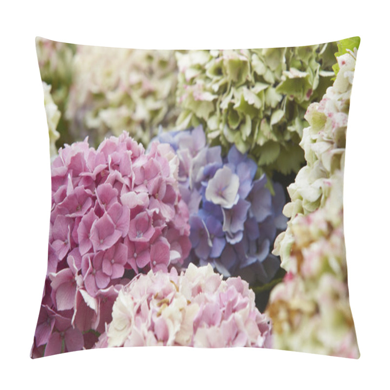 Personality  Purple Blue And White Hydrangeas In Pico Island. Azores. Portuga Pillow Covers