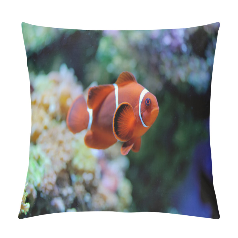 Personality  Underwater Scene Pillow Covers