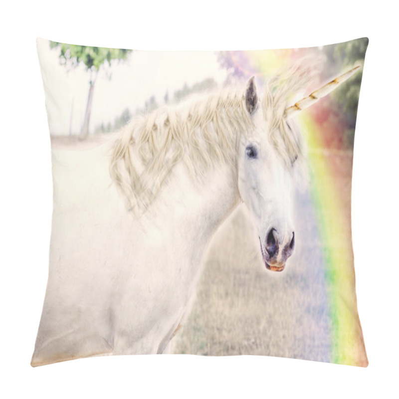 Personality  Unicorn Pillow Covers