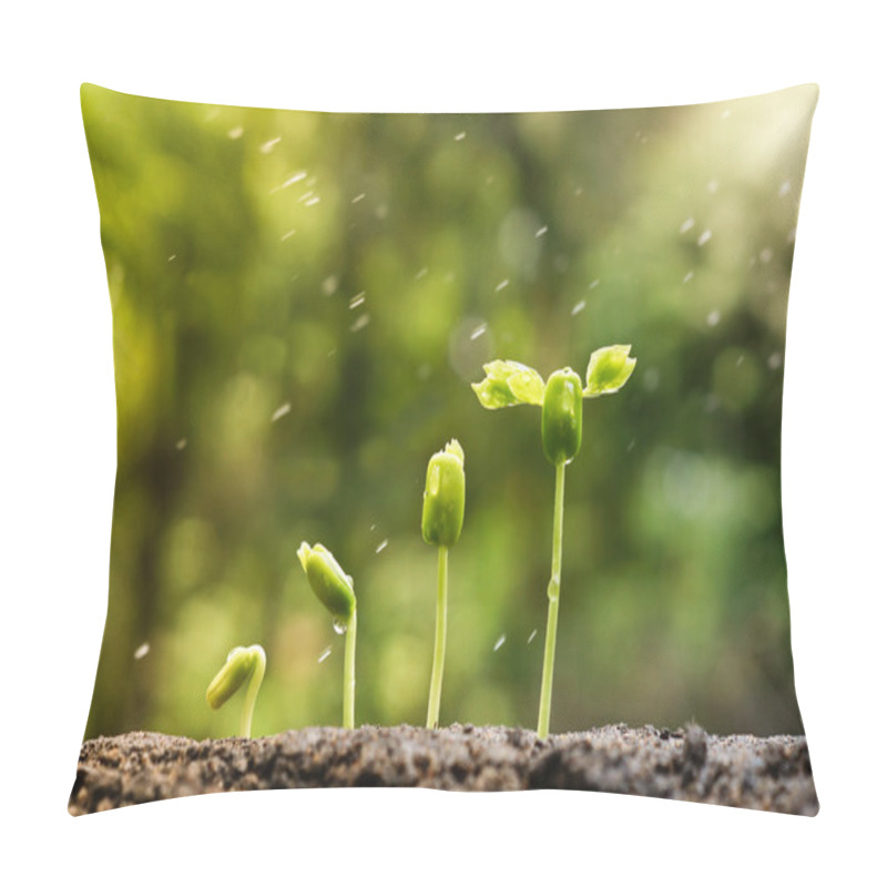 Personality  Trees Growing On Fertile Soil Pillow Covers