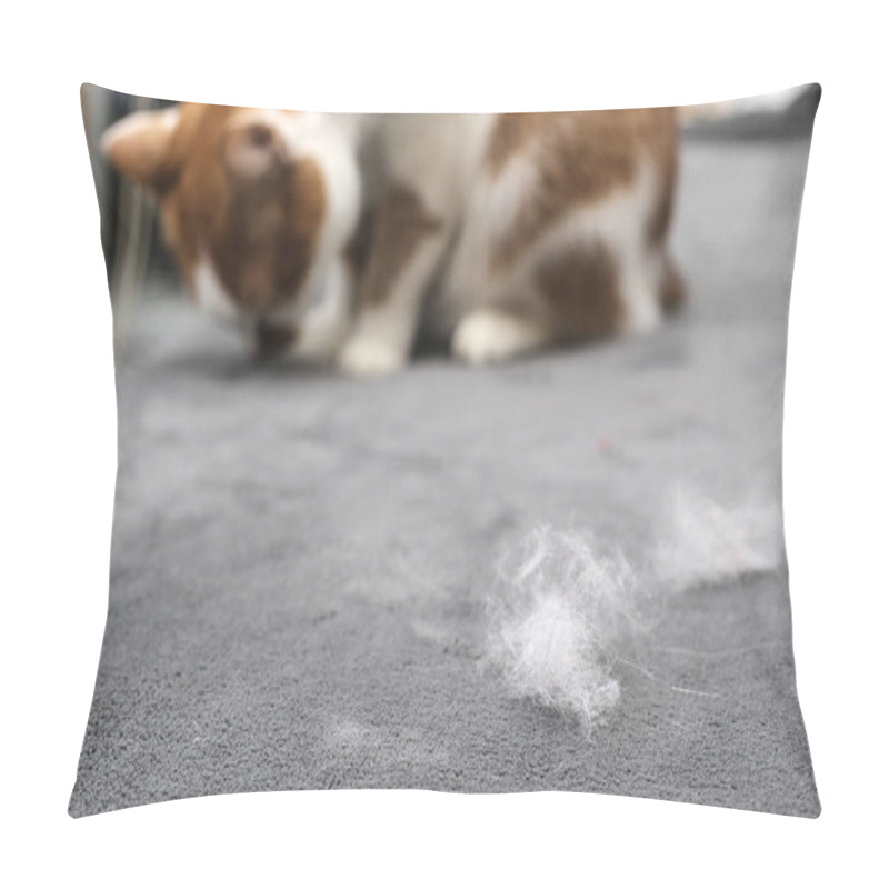 Personality  Pet Hair. Cleaning The Cat's Fur. Cat Hair On The Couch. Pillow Covers