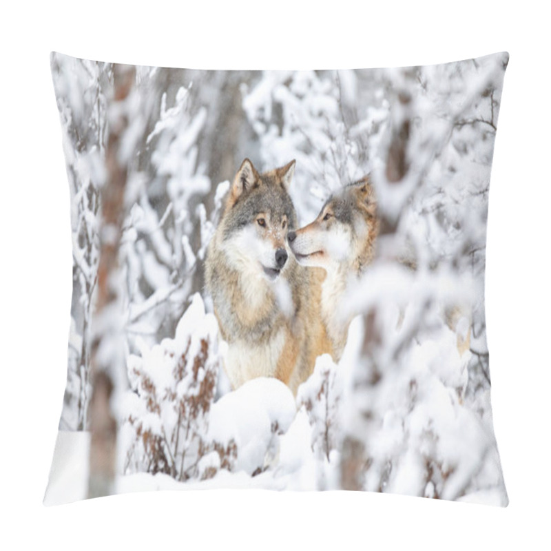 Personality  Two Beautiful Wolves In The Forest A Snowy Day At Winter Pillow Covers