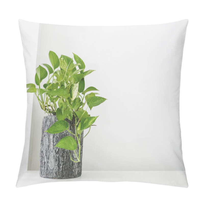 Personality  Golden Pothos Or Epipremnum Aureum On White Table In The Living Room Home And Garden Pillow Covers