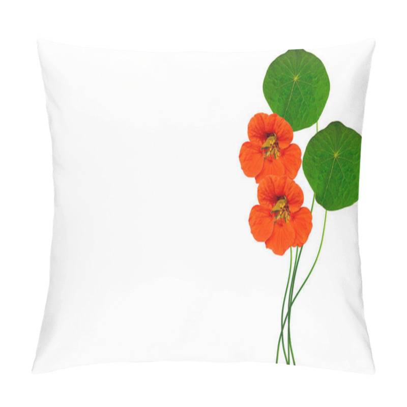 Personality  Autumn Nasturtium Flowers Isolated On White Background. Pillow Covers