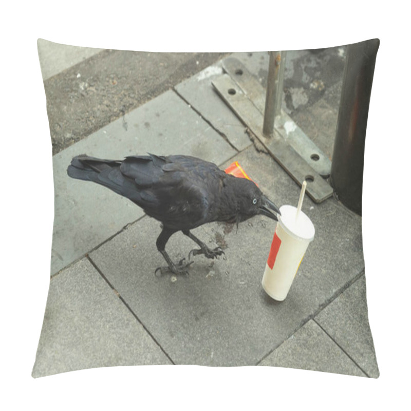 Personality  Black Crow And Raven Bird Eating Food From Rubbish On Floor In S Pillow Covers