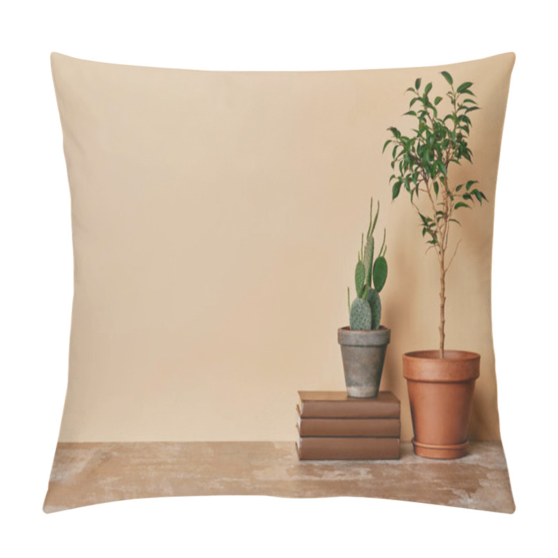 Personality  Plants In Pots And Books At Table On Beige Background Pillow Covers