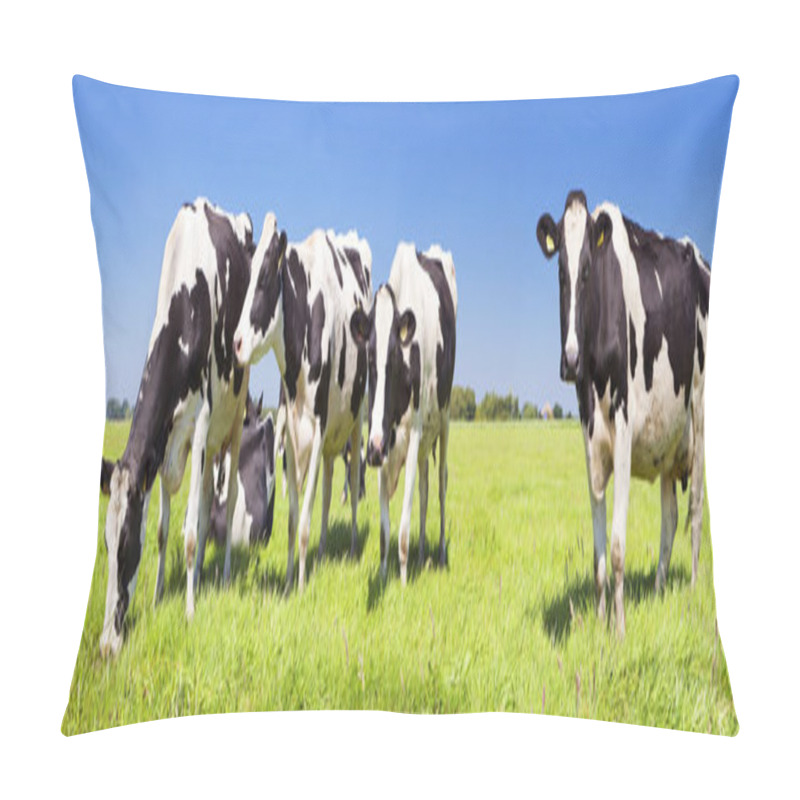 Personality  Cows In A Fresh Grassy Field On A Clear Day Pillow Covers