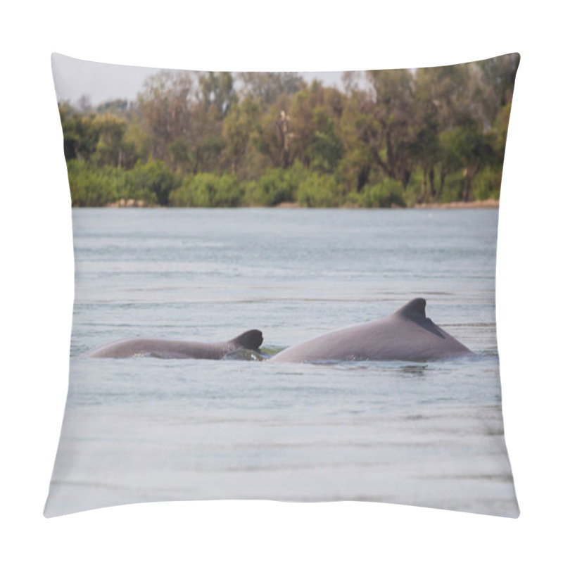 Personality  Khongyai Beach Irawaddy Dolphins Trip Pillow Covers