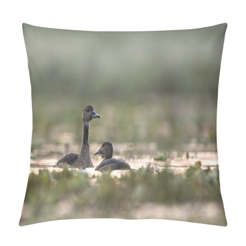 Personality  Whistling Duck (Dendrocygninae) In Pond  Pillow Covers