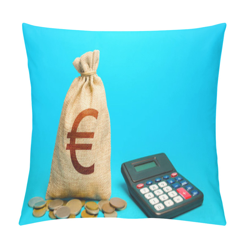 Personality  Euro Money Bag And Calculator. Accounting Concept. Analysis Of Loan Selection. Budgeting. Income And Expenses. Calculation Of Damage And Insurance Payments. Summing Up The Financial Results. Pillow Covers