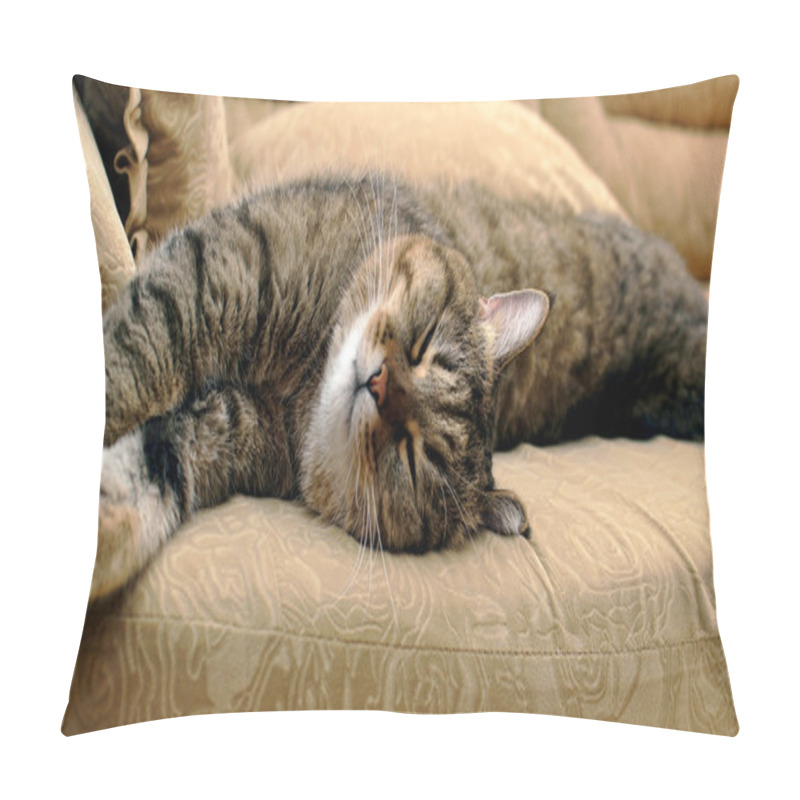 Personality  Sleeping Cat On The Sofa Pillow Covers