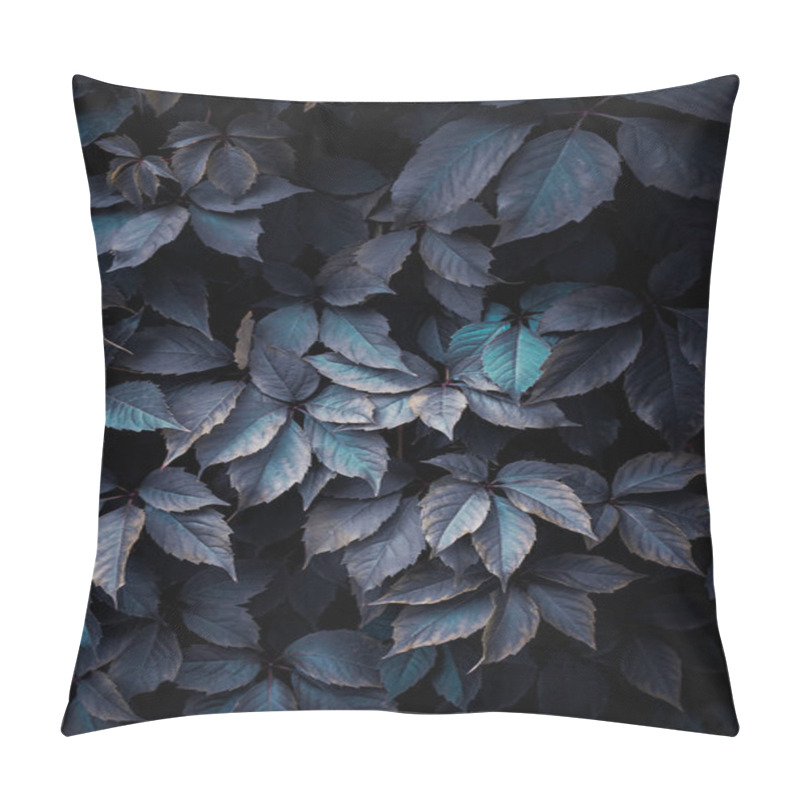 Personality  Blue Plant Leaves In The Garden, Blue Background  Pillow Covers