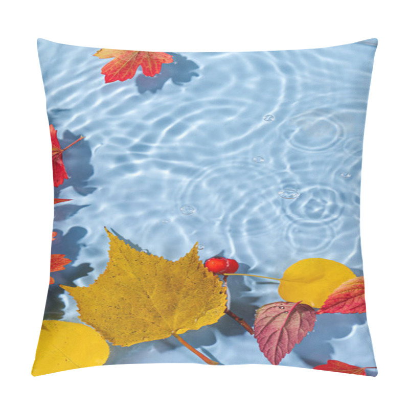 Personality  Autunm Leaves On Water Surface. Beautiful Water Ripple Background With Copy Space  Pillow Covers