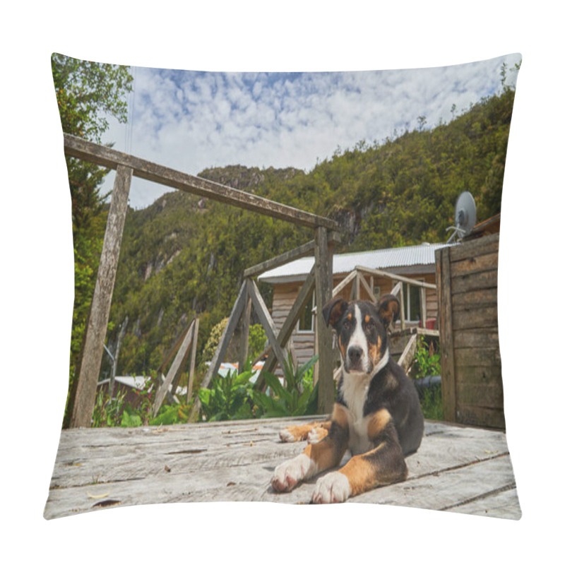 Personality  Cute Little Puppy Dog On The Wooden Piers And Walkways Of Lumber Town Caleta Tortel At Rio Baker Along The Carretera Austral In Patagonia, Chile, South America      Pillow Covers