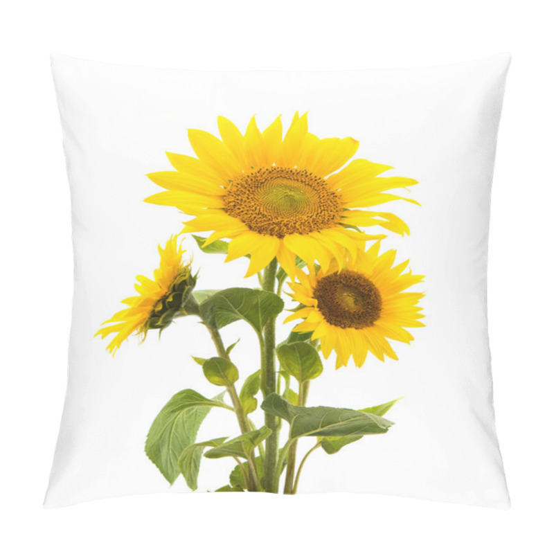 Personality  Sunflower Isolated Pillow Covers